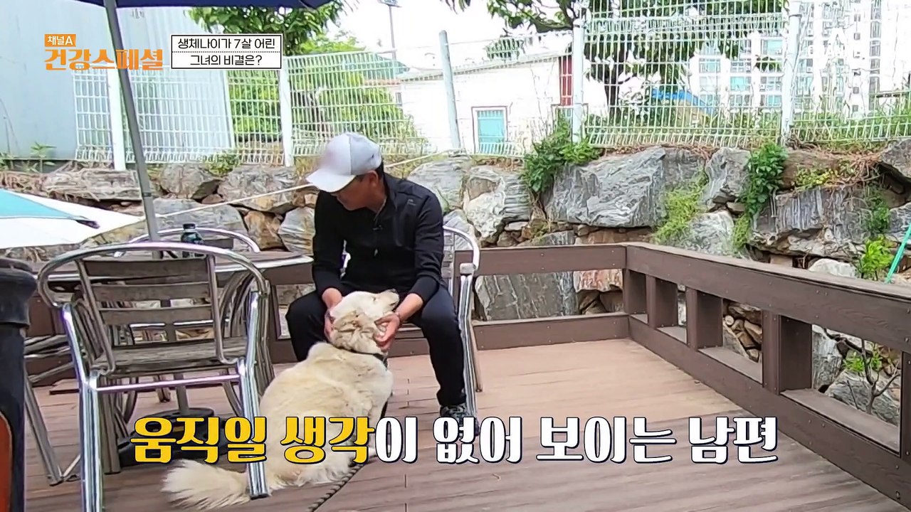 여왕벌의 집에만 존재하는 귀한 음식?! 피로 해소와 만성염증 관리 돕는 로열젤리