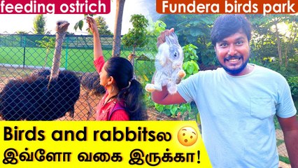 Feeding Birds and Animals _ Fundera Birds Park _ Yelagiri _ Anithasampath Vlogs