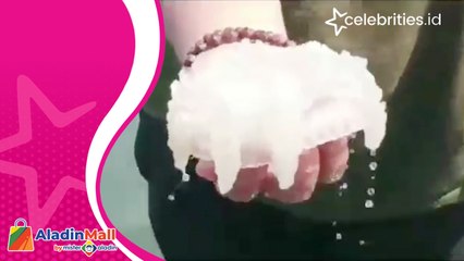 Ribuan Ubur-ubur Serbu Pantai Mayangan Probolinggo