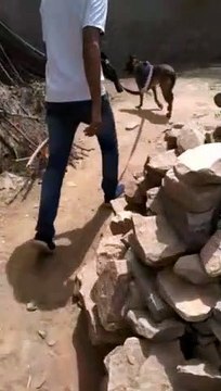 महिला की गला रेतकर हत्या, गले से गहने गायब, अलमारी में नकदी और अन्य जेवरात सुरक्षित