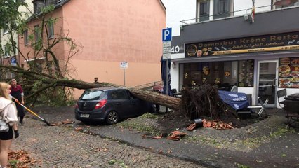 Almanya’da hortum can aldı