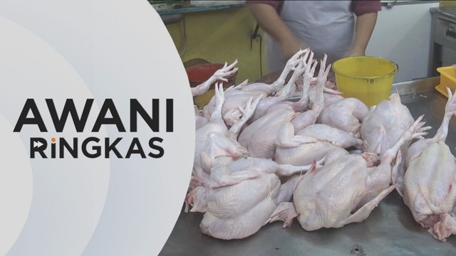 AWANI Ringkas: Bekalan ayam di kebanyakan negeri semakin meruncing
