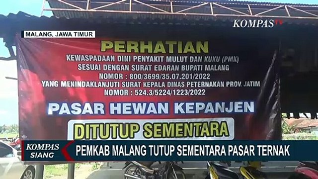 Tak Mau Terus Merugi Akibat Wabah PMK, Pedagang Sapi di Malang Minta Pasar Hewan Kembali Dibuka!