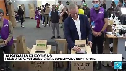 'Albanese is leading in the polls'