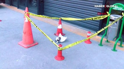 İstanbul'da top mermisi şaşkınlığı: Göl kenarında buldu, arkadaşlarına göstermek için ilçeden ilçeye taşıdı