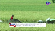 DA Usec. Adriano: P30-40B na pondo, kakailanganin para masiguradong magiging sapat ang supply ng bigas sa bansa | News Live