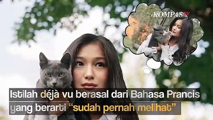 Ini Penyebab Manusia Bisa Mengalami Dj vu Menurut Para Ahli