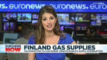 Russia cuts gas supplies to Finland for 'refusing to pay in roubles'