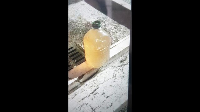 Andria: acqua scura da una storica fontana pubblica, il video che fa discutere