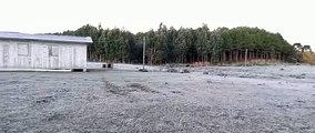 Geada cobre de branco paisagem em Bom Jardim da Serra