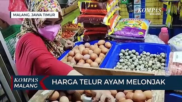 Harga Telur Ayam Melonjak