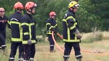 Feux de forêt: une centaine de pompiers de Loire mobilisés pour un exercice grandeur nature