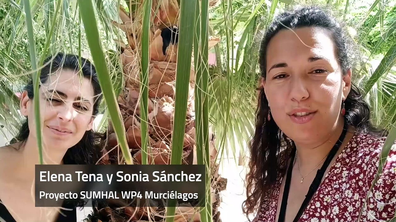 LWESpain Biodiversity Day 2022