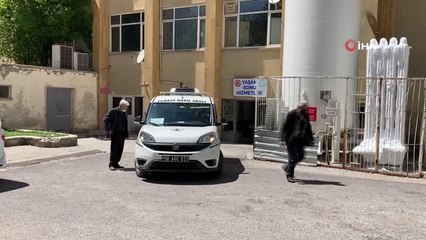 Eliyle ezdiği kene ölümüne neden oldu