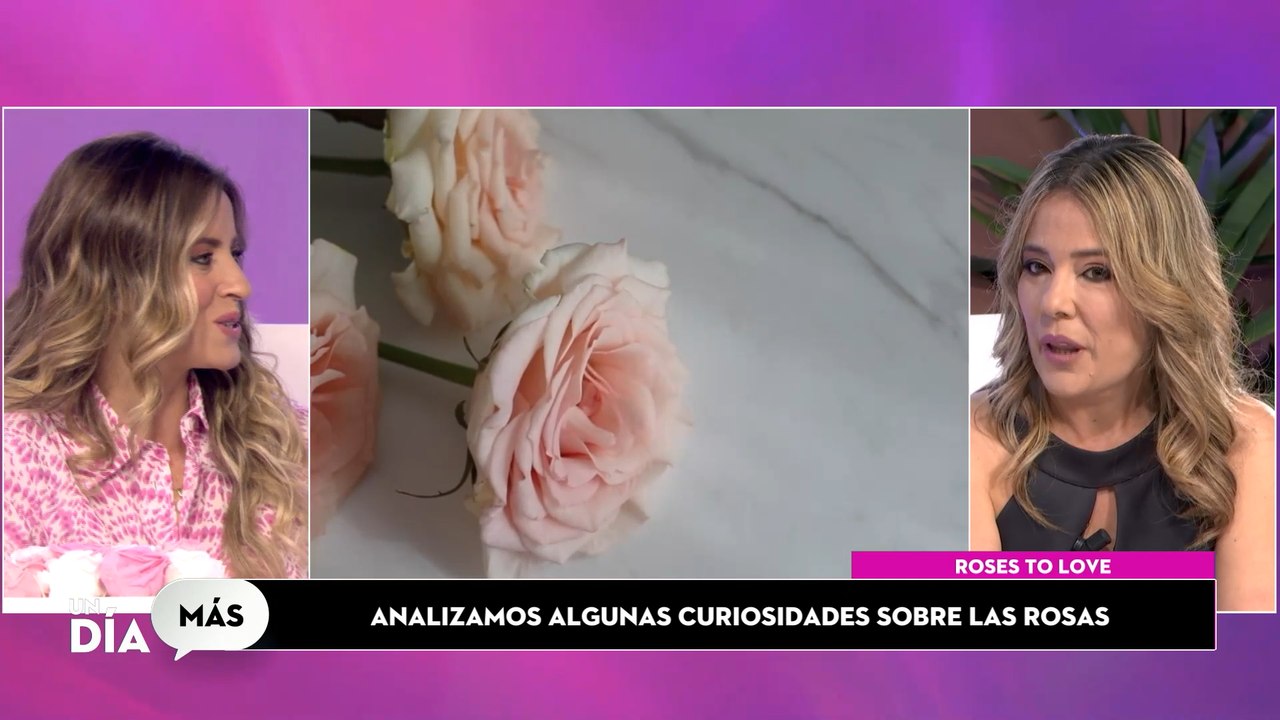 Roses to love: las flores preservadas más exclusivas