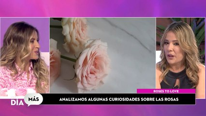 Roses to love: las flores preservadas más exclusivas