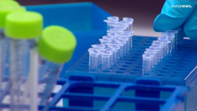 Оспа обезьян: около 80 подтверждённых случаев