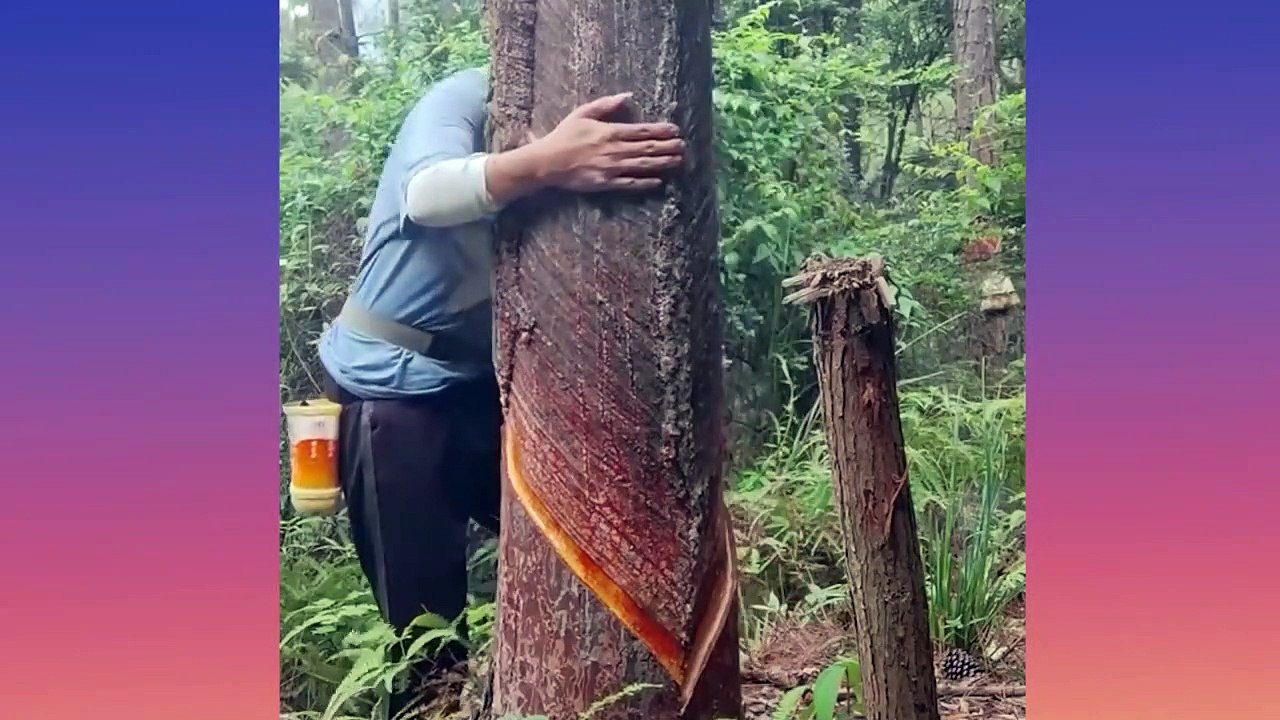 Oddly Satisfying Video for Sleep & the Relaxation of Your Nerves  No Music ASMR Satisfying Video