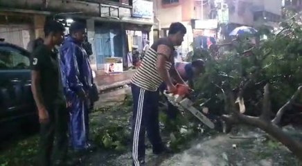 ঝড় বৃষ্টির পর যুদ্ধ কালীন তৎপরতায় চলছে রাস্তা পরিস্কারের কাজ |Oneindia Bengali