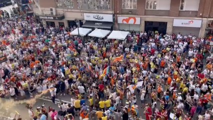 El grito de la afición del Valencia: "¡Lim, canalla, fuera de Mestalla!"