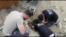 Toprak altında kalan köpek yavrularını itfaiye kurtardı