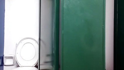 Onça parda interrompe partida de futsal em Nova Lima