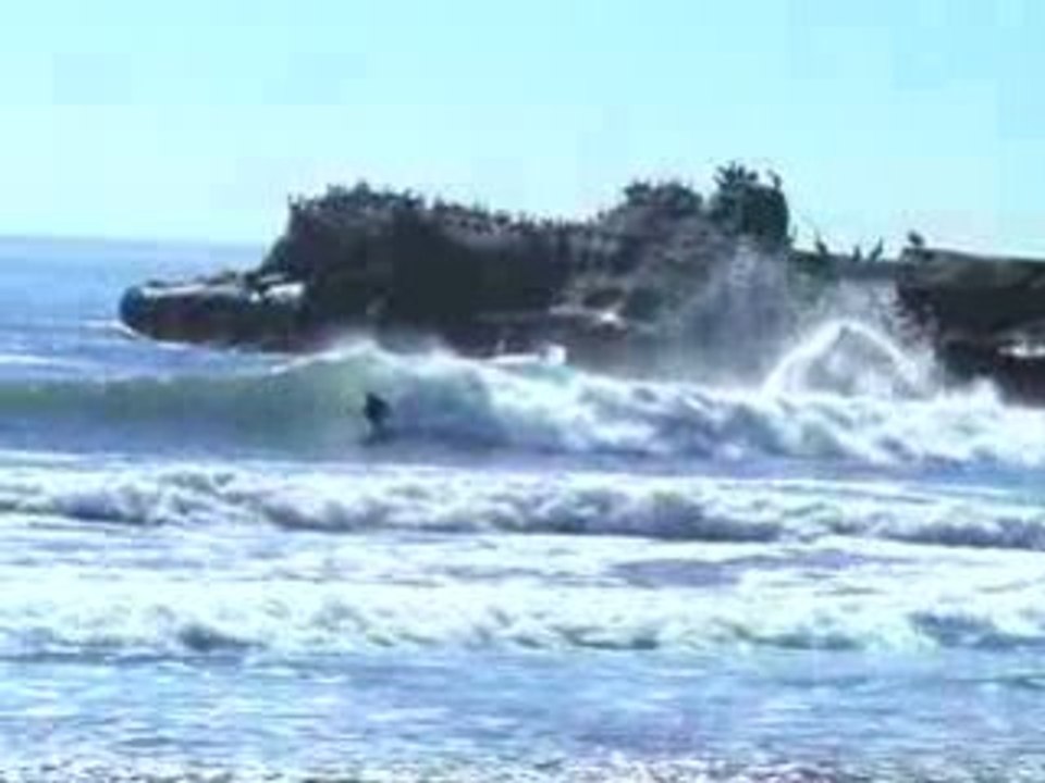 Forget Work - Gone Surfing