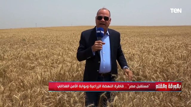 الديهي: مشروع مستقبل مصر باكورة الدلتا الجديدة وانطلاقة لتحقيق الاكتفاء الذاتي والأمن الغذائي