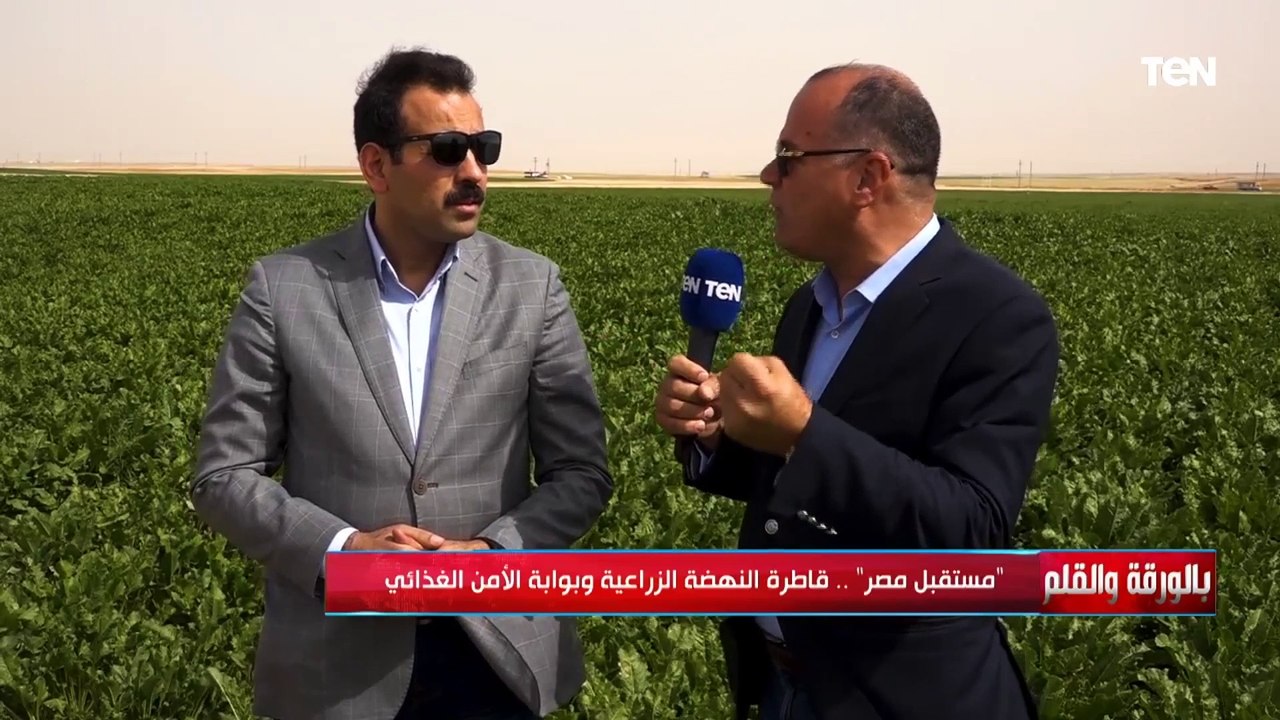 " هدفنا مليون و50 ألف فدان" مدير مشروع مستقبل م...