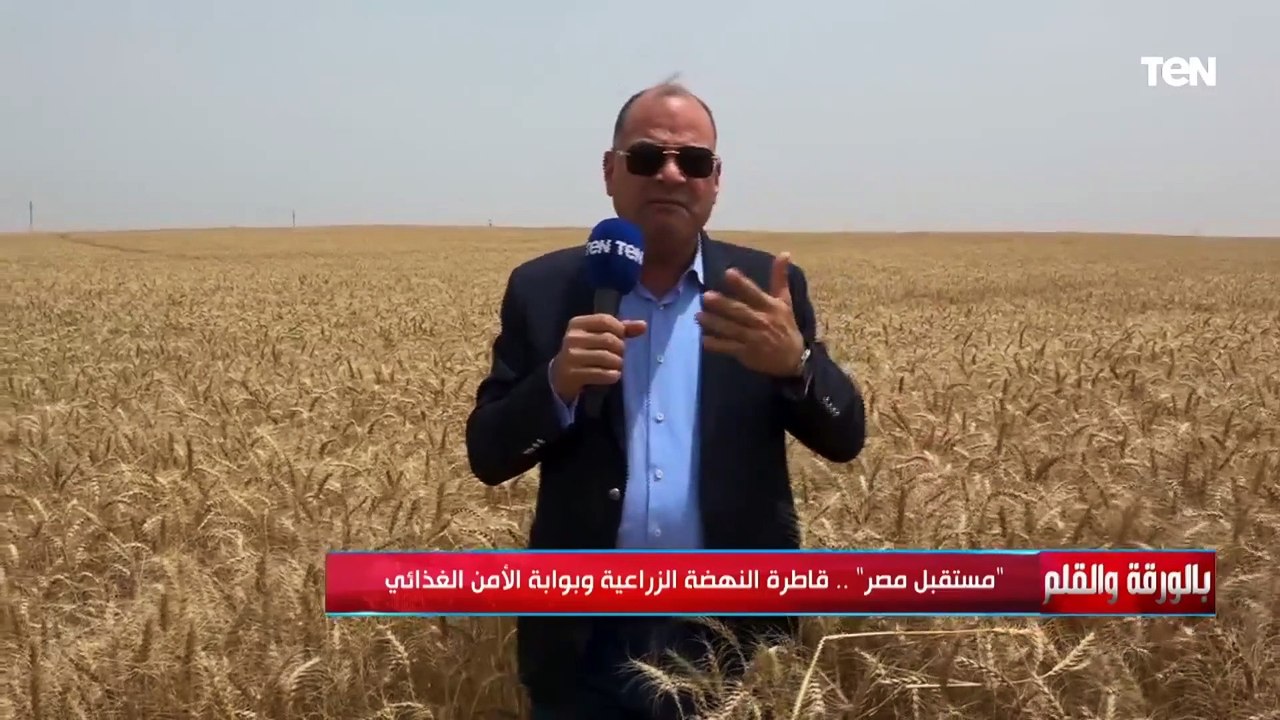 الديهي: آن لنا أن نفرح بالدلتا الجديدة فهو يمثل...