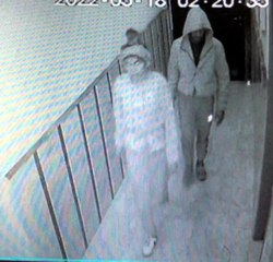 APARTMANDAN AYAKKABI HIRSIZLIĞI KAMERADA