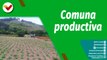 Cultivando Patria | Comuna de productores y productoras 