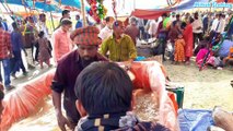 Biggest Village Fish Fair 2021  Traditional Poradaho Macher Mela At Bogra in Bangladesh Fish Market