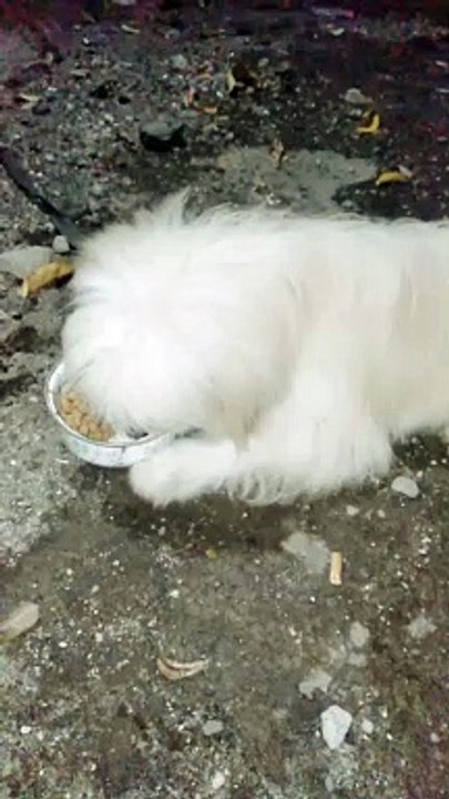 Laper banget