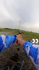 Mancing ikan rawa dengan Sambaran terkuat