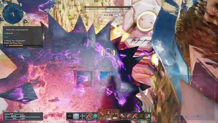 PSO2NG Phantasy Star Online 2 New Genesis NAS