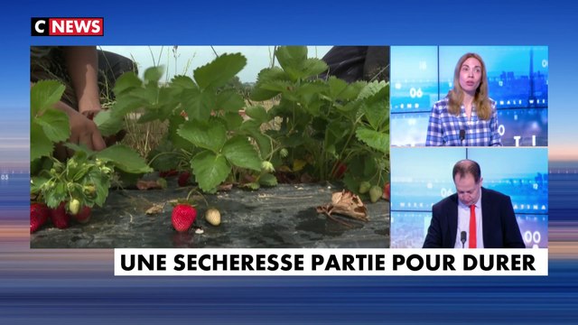 Caroline Pilastre : «Il va falloir faire très attention cet été aux feux de forêt»