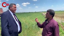 CHP'li Ömer Fethi Gürer açıkladı 'Buğdayda korkulan oldu'