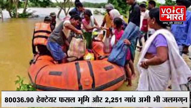 Assam Flood: बाढ़ की तबाही में अब तक 31 जिलों के 6.8 लाख लोग प्रभावित | killed in assam flood