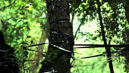 Two mutants - Death - (Official music video) - [CIMEDNALP]