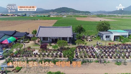 혀 끝에서 입안 가득 퍼지는 직접 만든 된장의 풍미, 대대로 지켜온 전통의 장맛