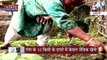 Uttar Pradesh News : नमामि गंगे योजना के तहत किसानों को ट्रेनिंग, सरकारी मदद से अन्नदाता खुश