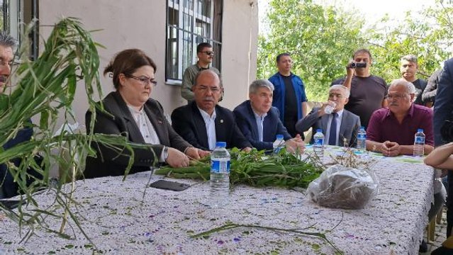 BAKAN YANIK, KADİRLİ'DE DOLUDAN ZARAR GÖREN TARIM ALANLARINI İNCELEDİ