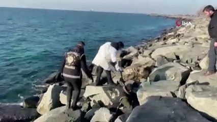 Şafak Mahmutyazıcıoğlu cinayeti firarisi son sanık yakalandı