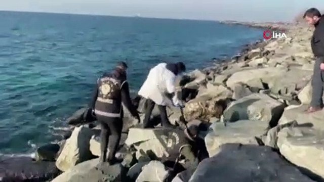 Şafak Mahmutyazıcıoğlu cinayeti firarisi son sanık yakalandı