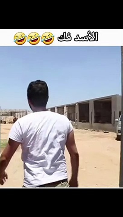 الاسد فك والمصور ساب الكاميرا وجري  | lion attack