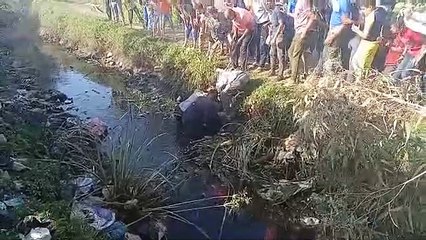 لحظة العثور على تمساح المنوفية بترعة كفر المصيلحة