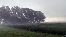 Severe Thunderstorm with 70mph Wind