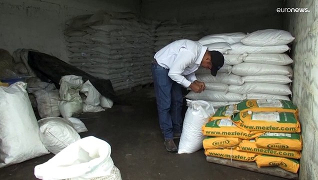 Escassez de fertilizantes na Venezuela devido à guerra na Ucrânia