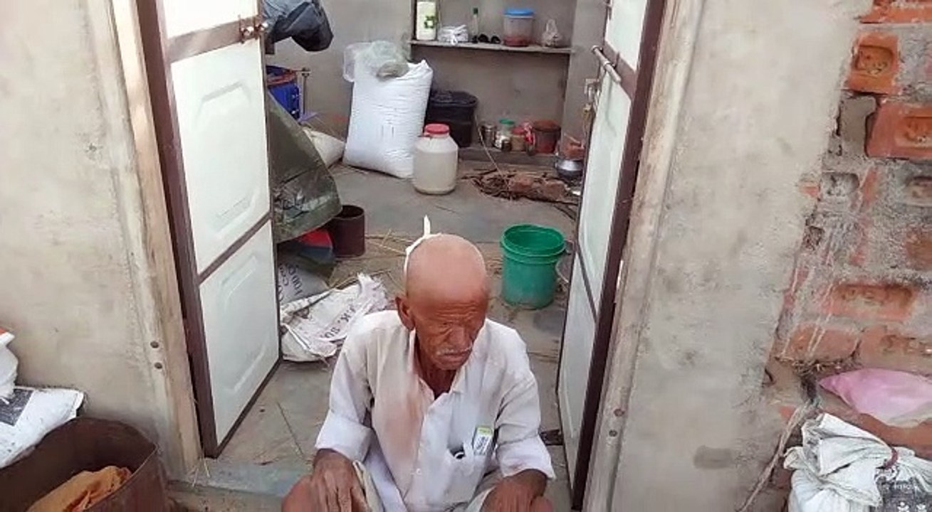 अंधड़ में उखड़े 200 पेड़, टूटे कई पोल